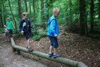 Bos activiteiten  